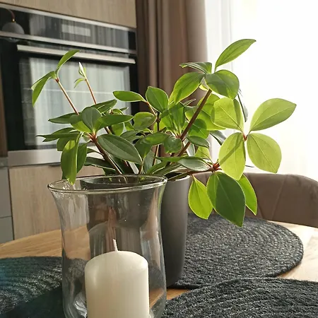 With A Balcony And An Impressive Terrace On The Roof Of The House