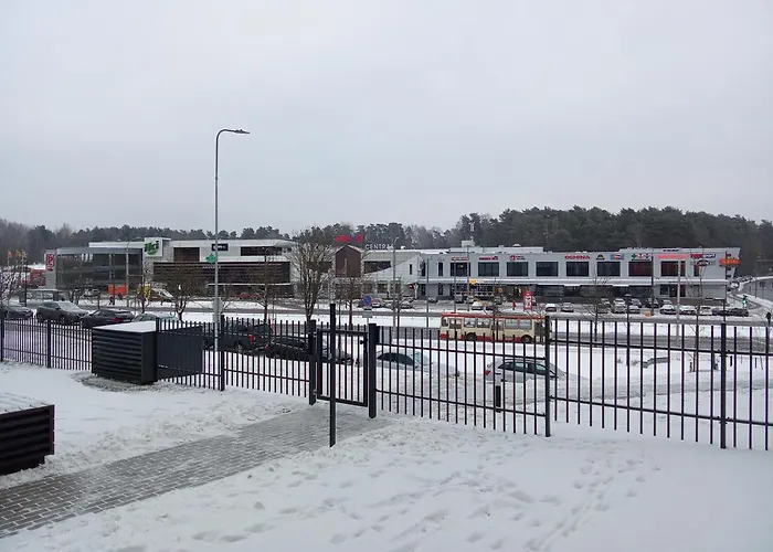 With A Balcony And An Impressive Terrace On The Roof Of The House * Vilnius