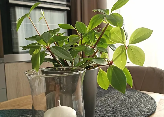 With A Balcony And An Impressive Terrace On The Roof Of The House